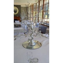 Load image into Gallery viewer, Silver Manzanita Tree