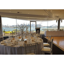 Load image into Gallery viewer, Silver Manzanita Tree