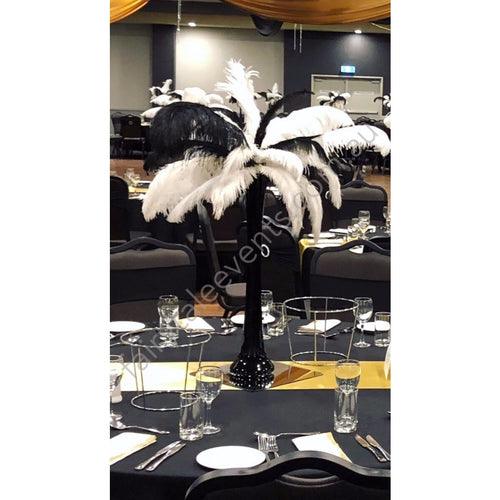 Black And White Small Ostrich Feathers In Black Or Vase