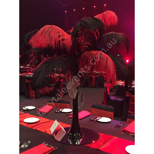 Red And Black Giant Ostrich Feathers In Vase