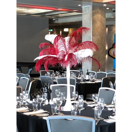Red And White Giant Ostrich Feathers In Vase