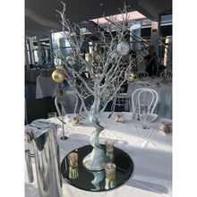 Load image into Gallery viewer, Silver Manzanita Tree
