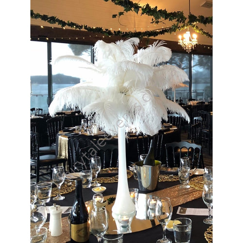 White Or Black Giant Ostrich Feathers In White Vase
