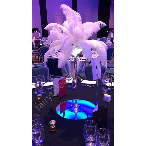 White Or Black Small Ostrich Feather centerpiece hire Full Head In Martini Vase