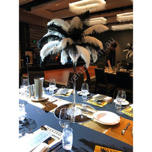 White Or Black Small Ostrich Feather Centerpiece Full Head In Martini Vase Black And White